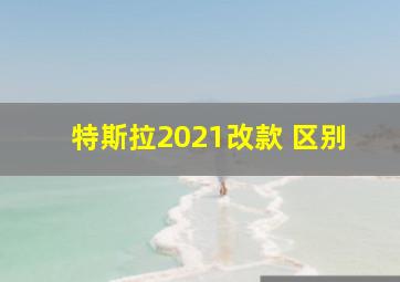 特斯拉2021改款 区别